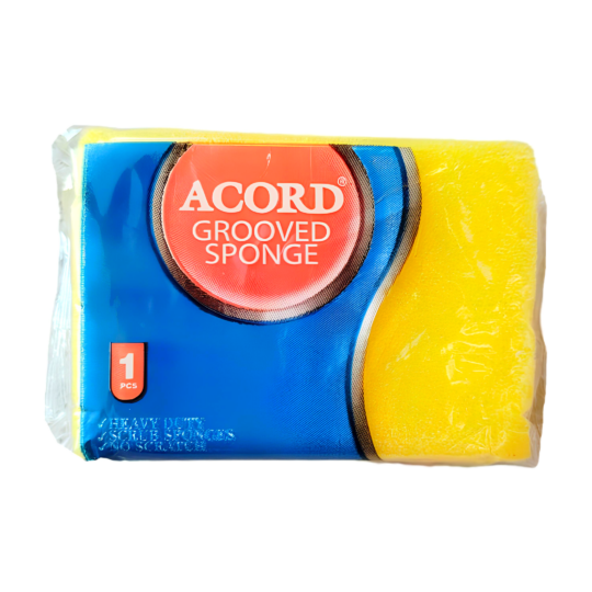 Acord süngər 1 ədəd